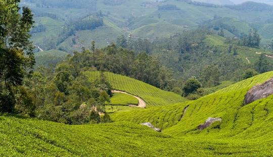 Kodaikanal